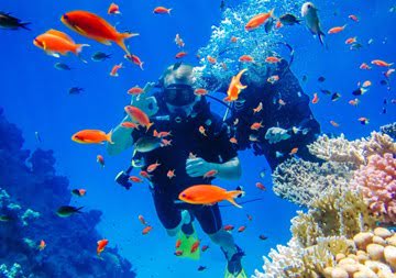 Discover Scuba Diving