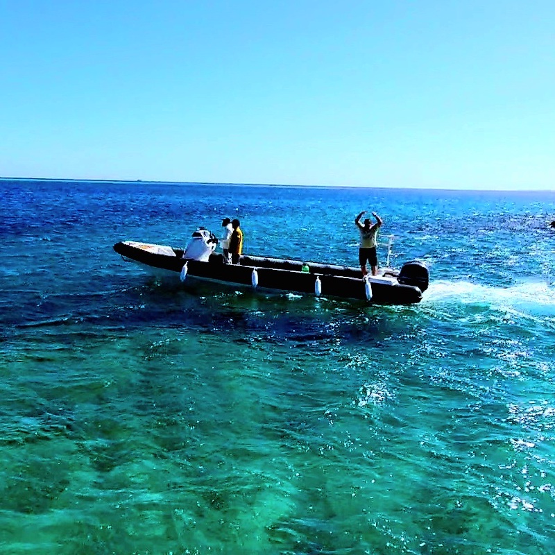 SPEED BOAT PROGRAM